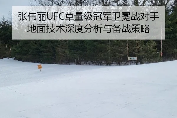 张伟丽UFC草量级冠军卫冕战对手地面技术深度分析与备战策略