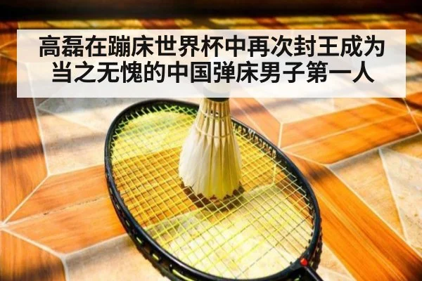 高磊在蹦床世界杯中再次封王成为当之无愧的中国弹床男子第一人